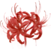 A spider lily